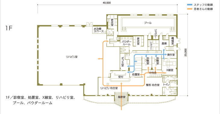 1F/診察室、処置室、X線室、リハビリ室、プール、パウダールーム