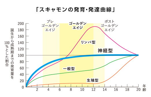 スキャモンの発育?発達曲線図