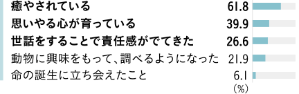 癒やされている 61.8％　思いやる心が育っている 39.9％　世話をすることで責(zé)任感がでてきた 26.6％　動(dòng)物に興味をもって、調(diào)べるようになった 21.9％　命の誕生に立ち?xí)à郡长?6.1％