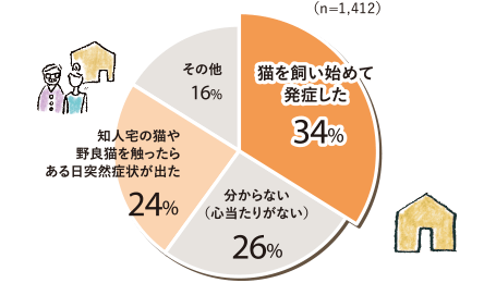 貓アレルギーを発癥したきっかけ