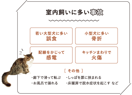 室內(nèi)飼いに多い事故