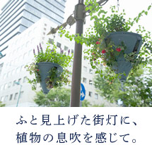 ふと見上げた街燈に、植物の息吹を感じて。