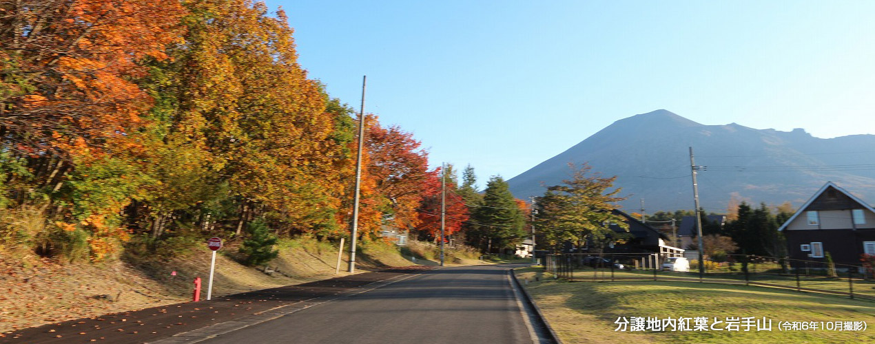 分譲地內(nèi)紅葉と巖手山（令和6年10月撮影）