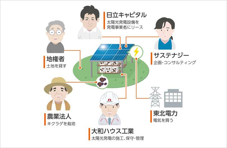 ソーラーシェアリング　スキーム図