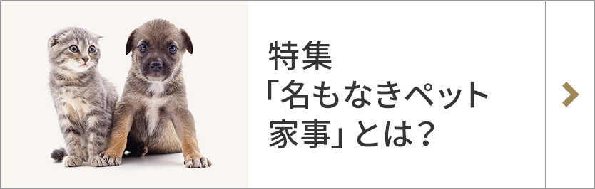 特集「名もなきペット家事」とは？