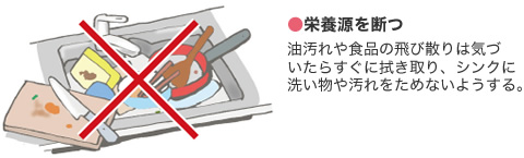 ●栄養源を斷つ 油汚れや食品の飛び散りは気づいたらすぐに拭き取り、シンクに洗い物や汚れをためないようにする。