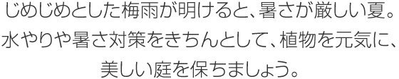 じめじめとした梅雨が明けると、暑さが厳しい夏。水やりや暑さ対策をきちんとして、植物を元気に、美しい庭を保ちましょう。