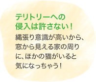 テリトリーへの侵入は許さない！　縄張り意識が高いから、窓から見える家の周りに、ほかの貓がいると気になっちゃう！