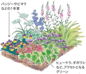 地植えのイメージ図