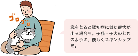 歳をとると認知癥に似た癥狀が出る場合も。子貓?子犬のときのように、優しくスキンシップを。